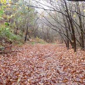 Fuenterrabía San Sebastián (25)