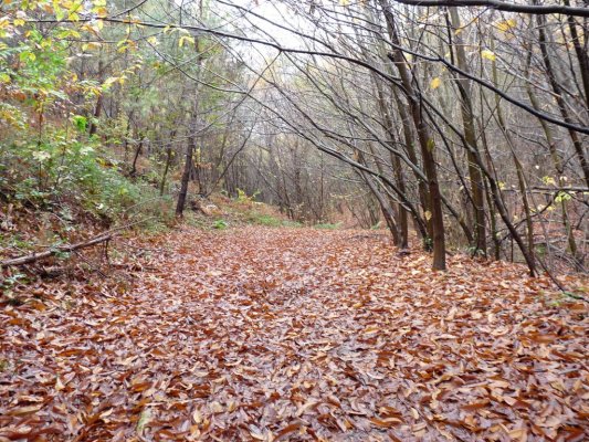 Fuenterrabía San Sebastián (25)