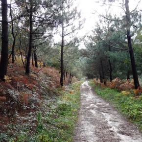 Fuenterrabía San Sebastián (28)