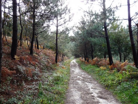 Fuenterrabía San Sebastián (28)