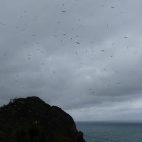 Fuenterrabía San Sebastián (9)