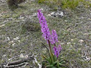 Albarracin30