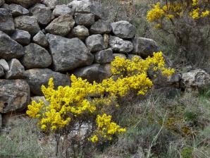 Albarracin65