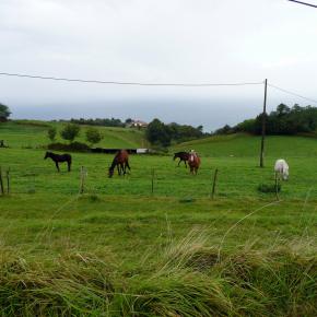 Camino de Santiago, S. Sebatián-Orio