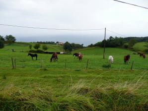 Camino de Santiago, S. Sebatián-Orio