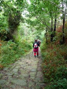 Camino de Santiago, S. Sebatián-Orio