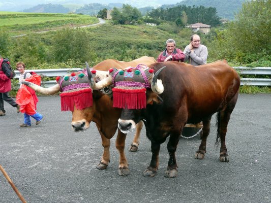 Camino de Santiago, S. Sebatián-Orio