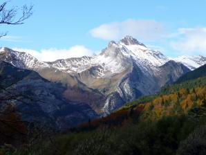 2009