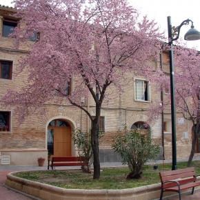 Galacho Juslibol-001