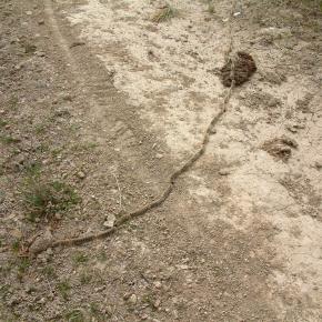 Galacho Juslibol-030