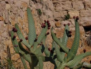 Alquezar-176
