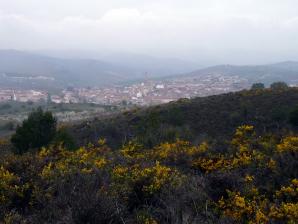 Ateca