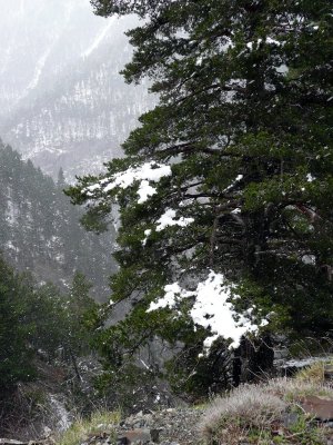 Subiendo a Ballibierna