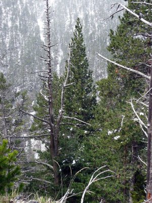 Subiendo a Ballibierna