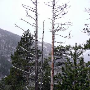 Subiendo a Ballibierna