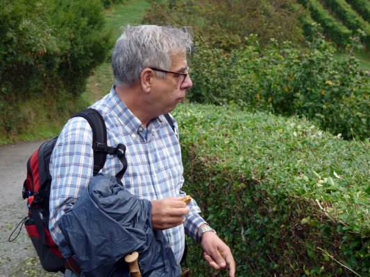 Zumaia-Guetaria junio 2010 004