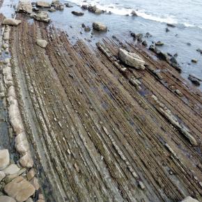 Zumaia-Guetaria junio 2010 075