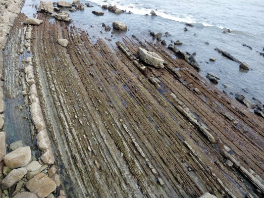 Zumaia-Guetaria junio 2010 075