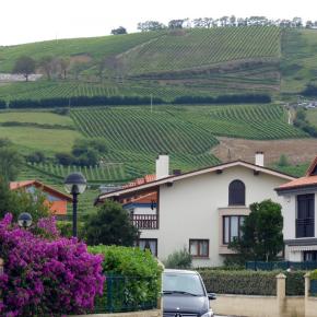 Zumaia-Guetaria junio 2010 088