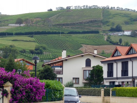 Zumaia-Guetaria junio 2010 088
