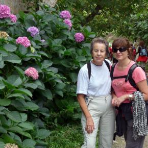 Zumaia-Guetaria junio 2010 090