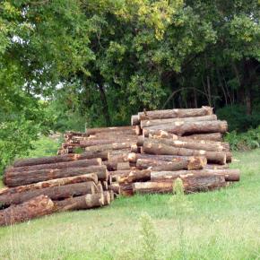 Zumaia-Guetaria junio 2010 091