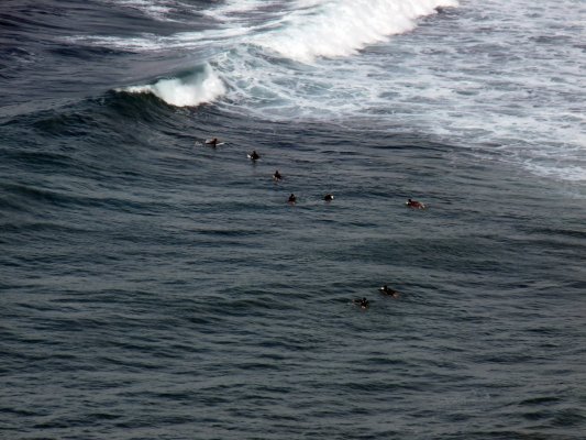 Zumaia-Guetaria junio 2010 104
