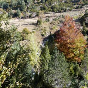 subiendo a Respumoso