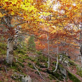 subiendo a Respumoso