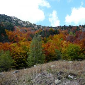 subiendo a Respumoso