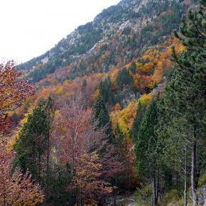 subiendo a Respumoso