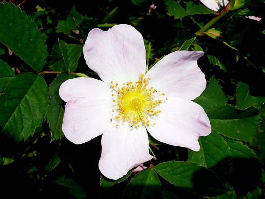 Vuelta al Pacino-009