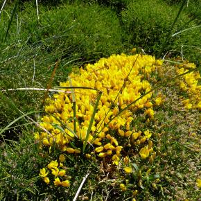 Vuelta al Pacino-023