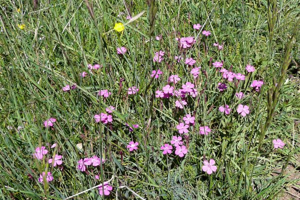 Vuelta al Pacino-024