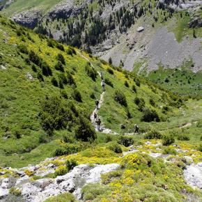 Vuelta al Pacino-026