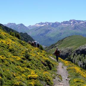 Vuelta al Pacino-027