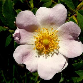 Vuelta al Pacino-029