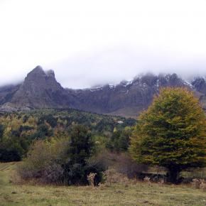 MINOLTA DIGITAL CAMERA