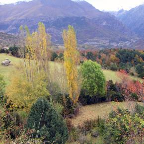 20111029 Bosque del Betato - Ibón de Piedrafita