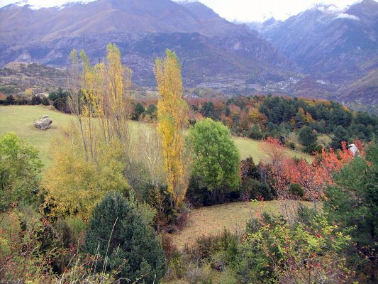 MINOLTA DIGITAL CAMERA