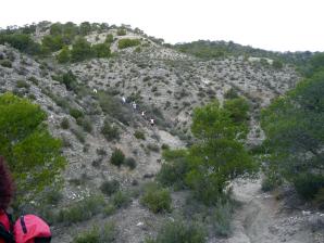 P1110089