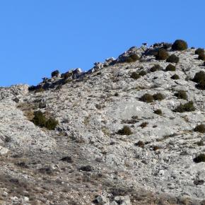 Parras a Martin del rio-008