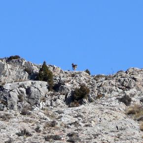 Parras a Martin del rio-009