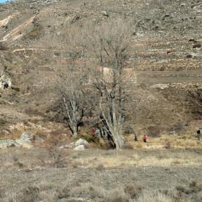 Parras a Martin del rio-012