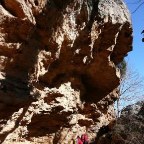 Hocino de las Palomas