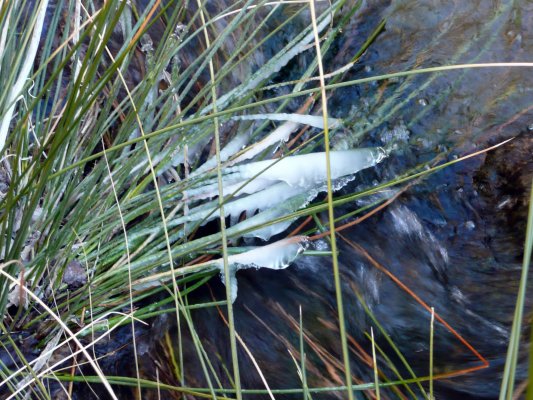 Parras a Martin del rio-033