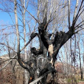 Parras a Martin del rio-057