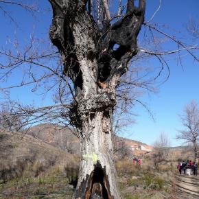 Parras a Martin del rio-058