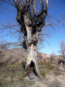 Parras a Martin del rio-058