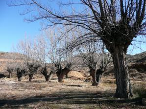 Parras a Martin del rio-059